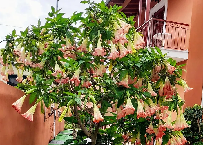 Διαμέρισμα Kathrin